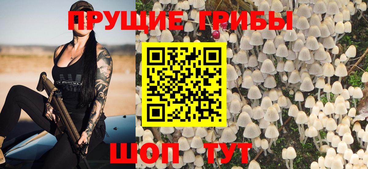 Кумертау  закладка  Вход с VPN  Галлюциногенные грибы мицелий 